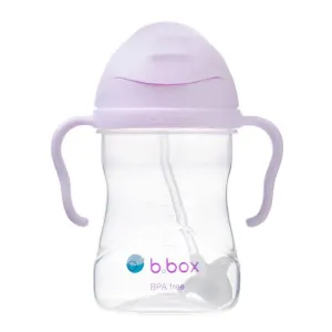 B.BOX Sippy Straw Cup 240ml - Boysenberry