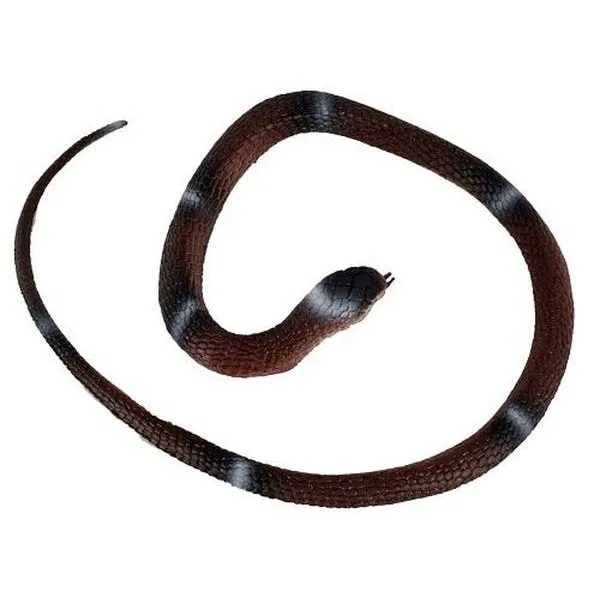 Brown Rubber Snake