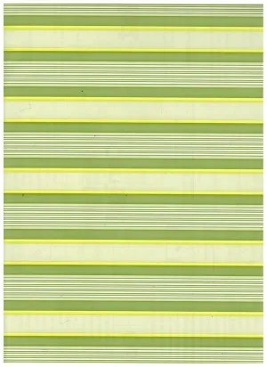 Canopy Lime Green Contact Paper Liner 24 Feet