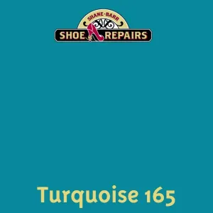 Easy Dye Turquoise 165