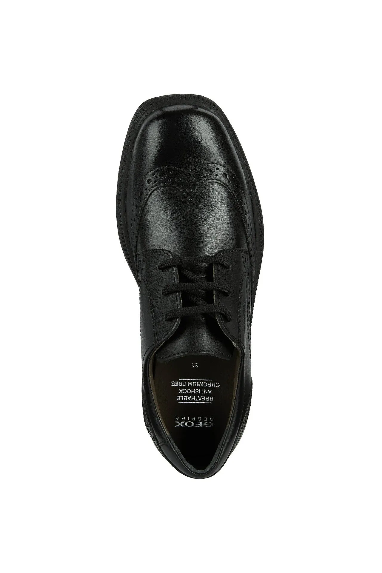 Geox School Shoes | Federico Brogue Lace Up | Black