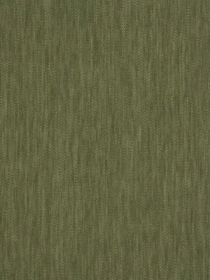 Ghent - Moss