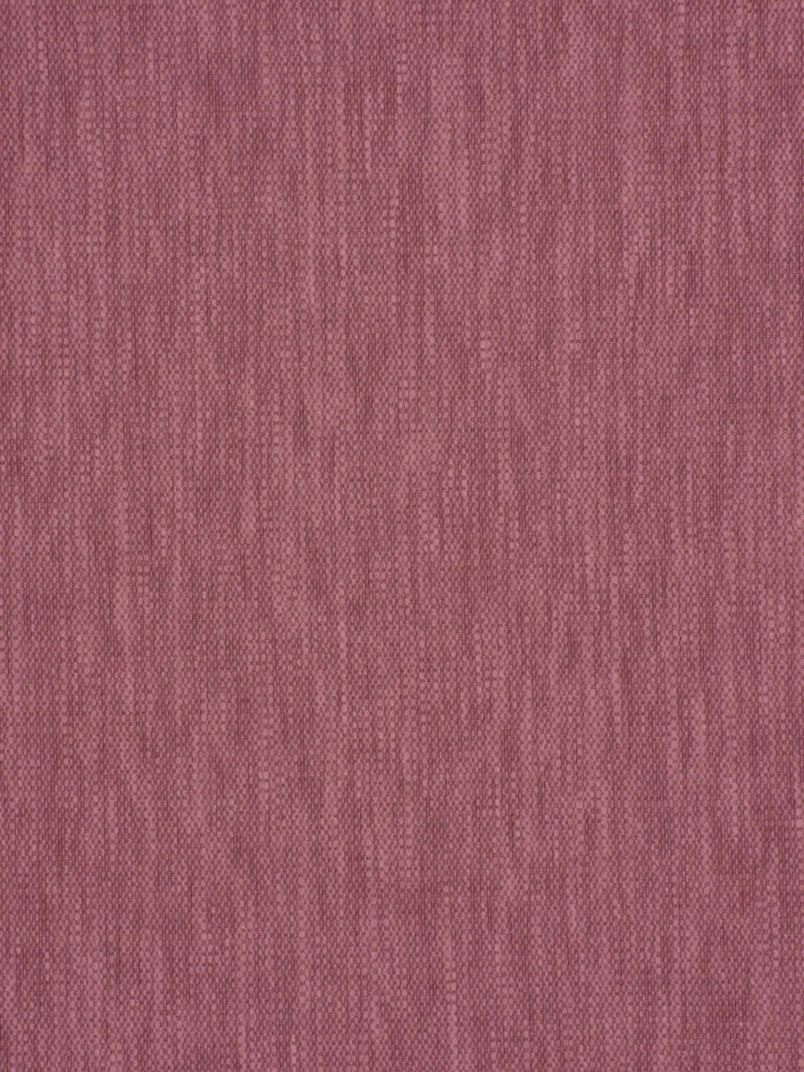 Ghent - Peony