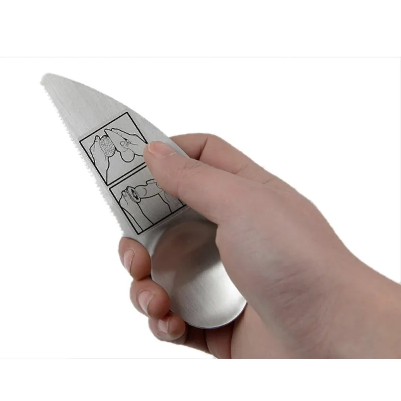 Kiwi Fruit Knife & Spoon - Stainless Steel