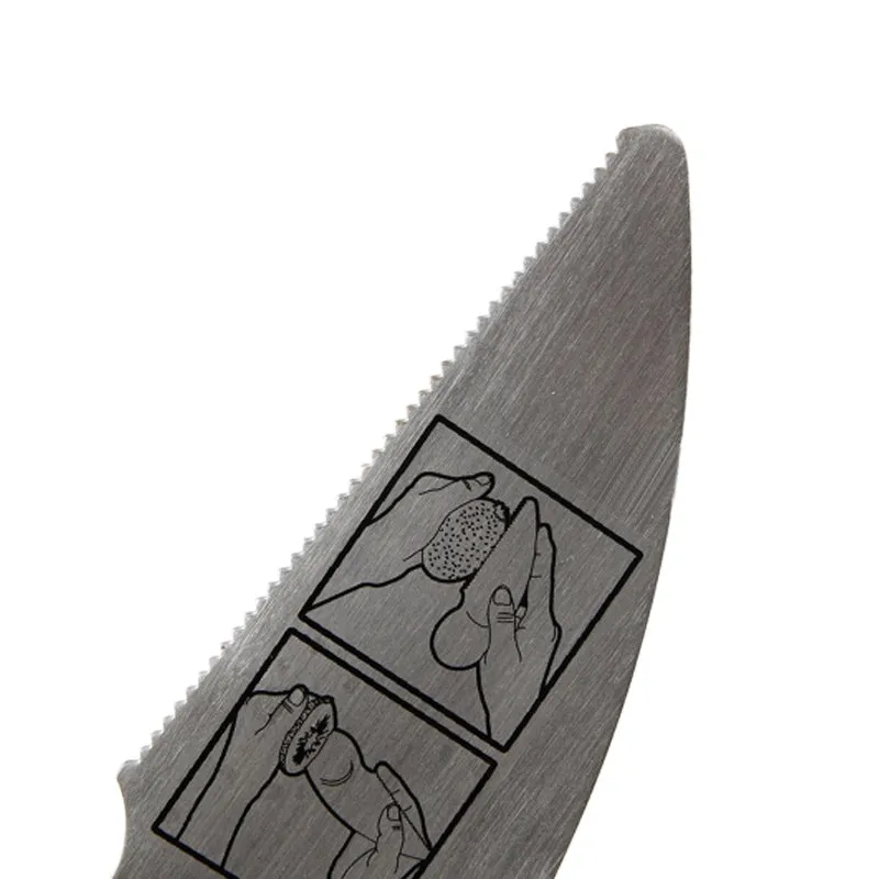 Kiwi Fruit Knife & Spoon - Stainless Steel