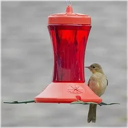 Perky Pet Plastic Tube Oriole Feeder 24oz