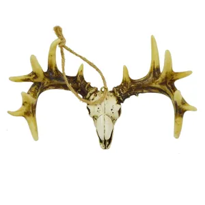 Pine Ridge Deer Skull 4" x 6" Ornament Beautifully Vintage Look Made of Strong and Durable Polyresin - Antiqued Finish, Great For Arts and Crafts
