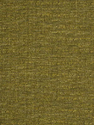 Spoleto - Moss