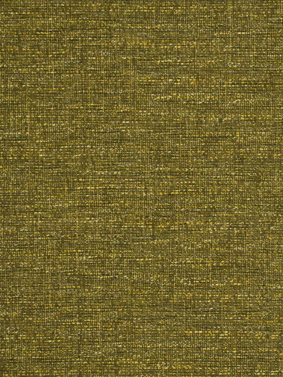 Spoleto - Moss