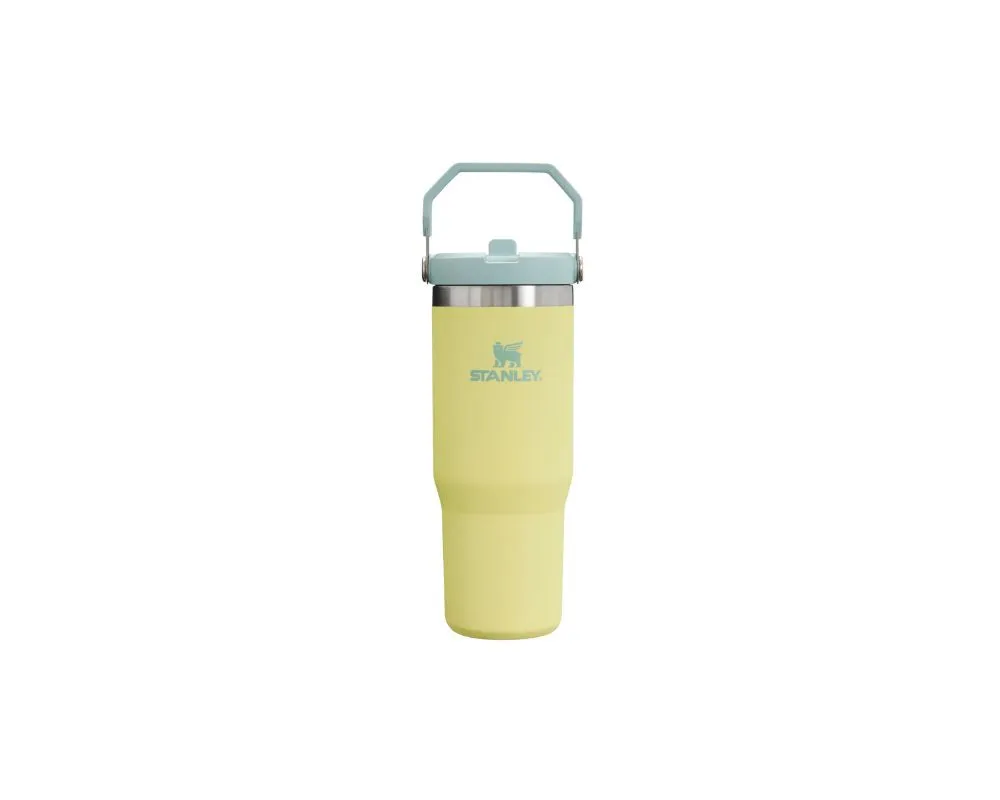 Stanley Flip Straw Tumbler 30 oz