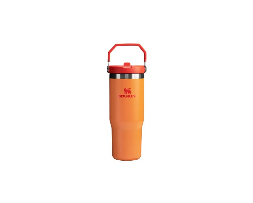 Stanley Flip Straw Tumbler 30 oz