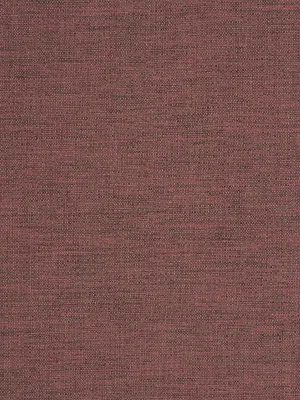 Zuma - Crocus